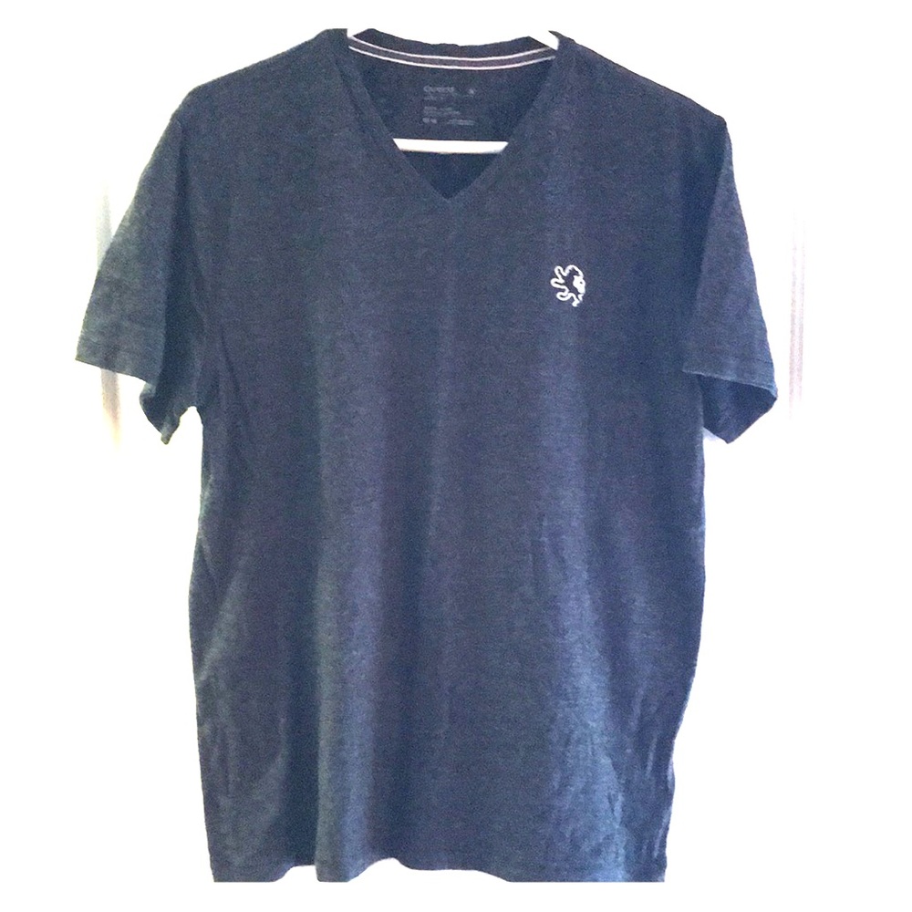 Express Jersey V neck t-shirt
